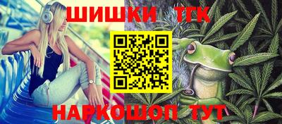 винт Партизанск