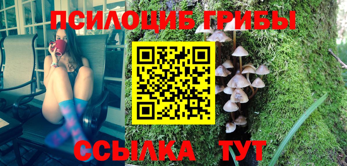 Псилоцибиновые грибы MAGIC MUSHROOMS  Галлюциногенные грибы GOLDEN TEACHER  Скопин  Вход с VPN 